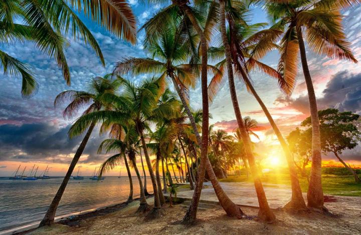 Entreprise d'hébergement touristique Guadeloupe